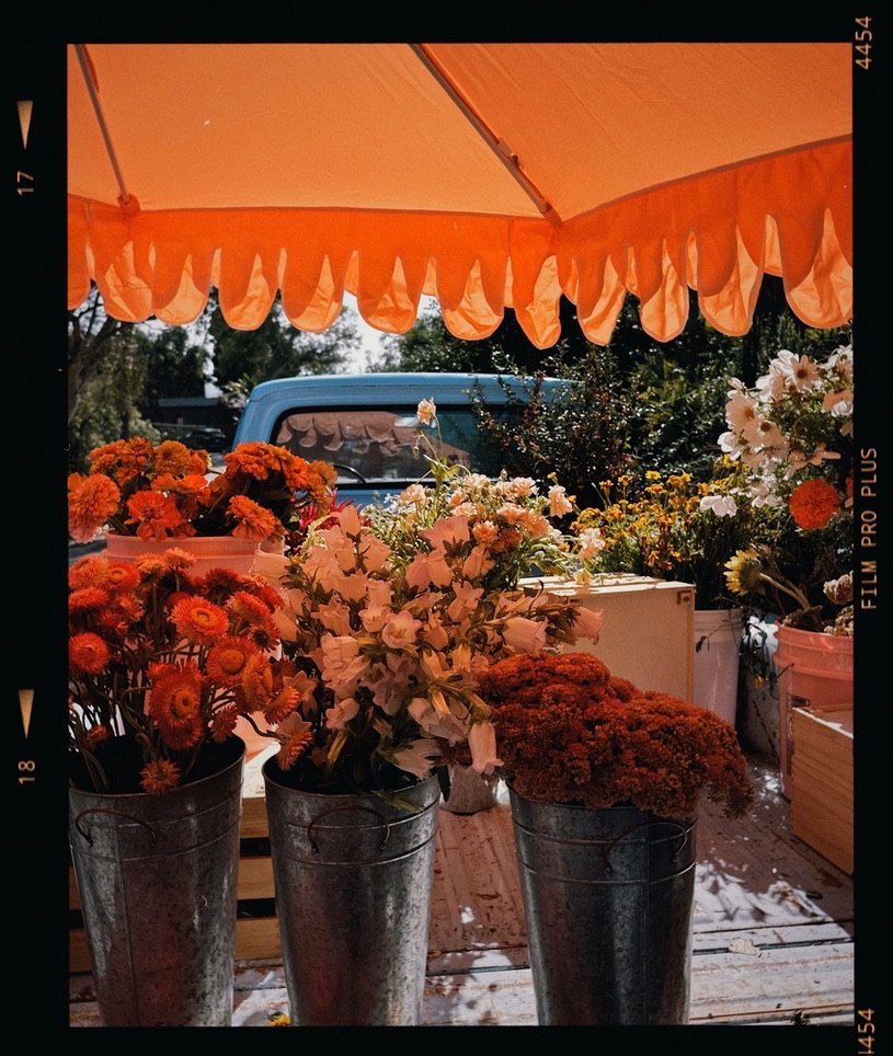 Buckets of orange mums under a scalloped market umbrella, with the baby-blue flower truck behind