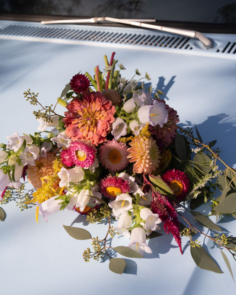 A garden-style bouquet of dahlias, strawflowers and bellflowers resting on the baby-blue hood of the flower truck